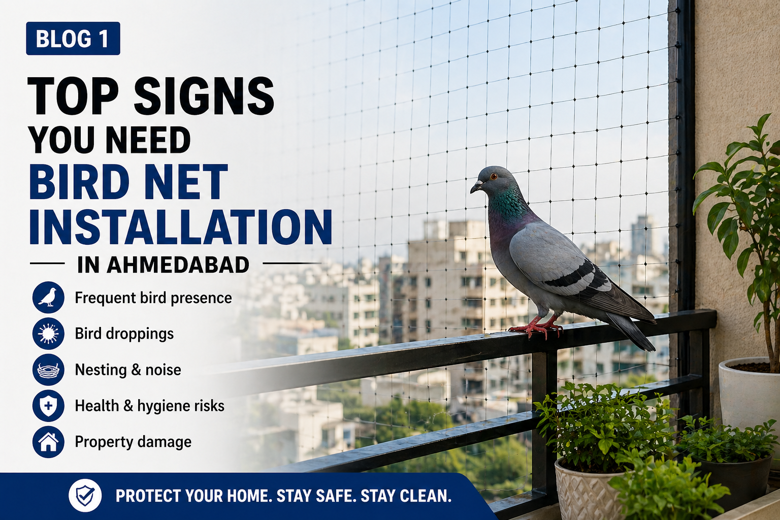 Top Signs You Need Bird Net Installation for Your Home in Ahmedabad